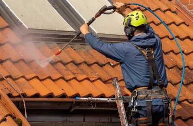 Démoussage et hydrofuge de toiture à Vignory